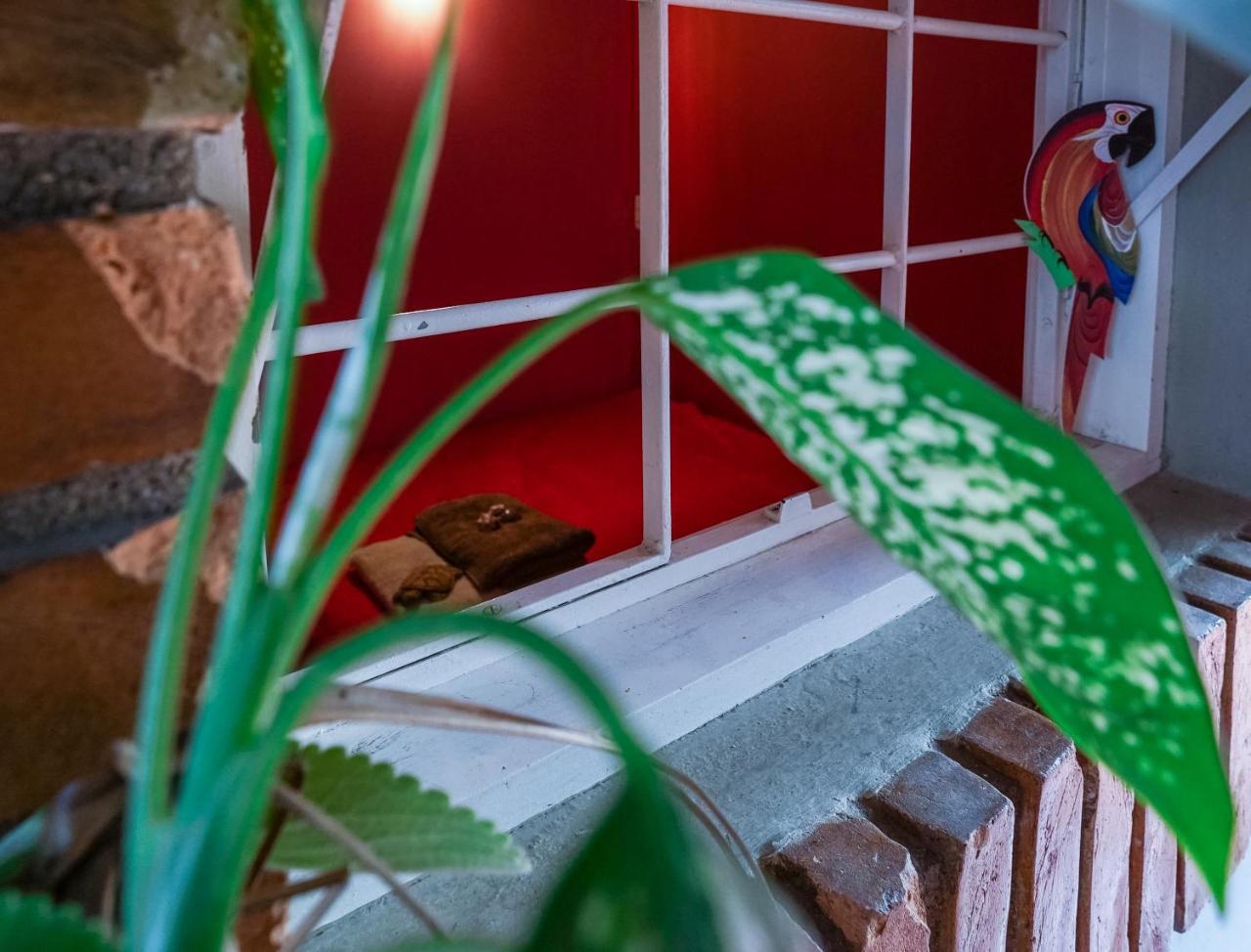 Hostel Tropico De Capricornio - Itagua Ubatuba Zewnętrze zdjęcie